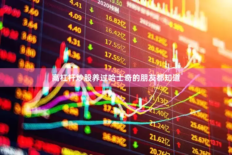 高杠杆炒股养过哈士奇的朋友都知道