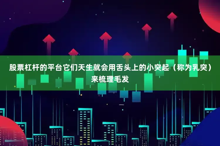股票杠杆的平台它们天生就会用舌头上的小突起（称为乳突）来梳理毛发