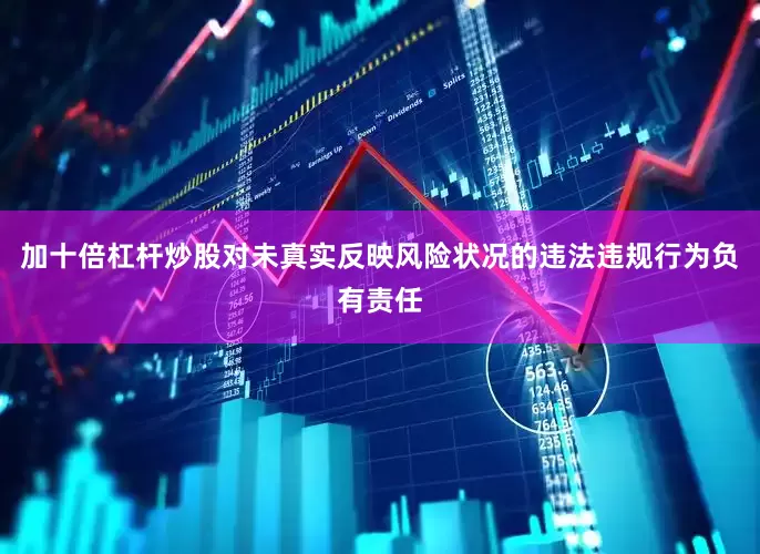 加十倍杠杆炒股对未真实反映风险状况的违法违规行为负有责任